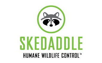 Skedaddle Logo